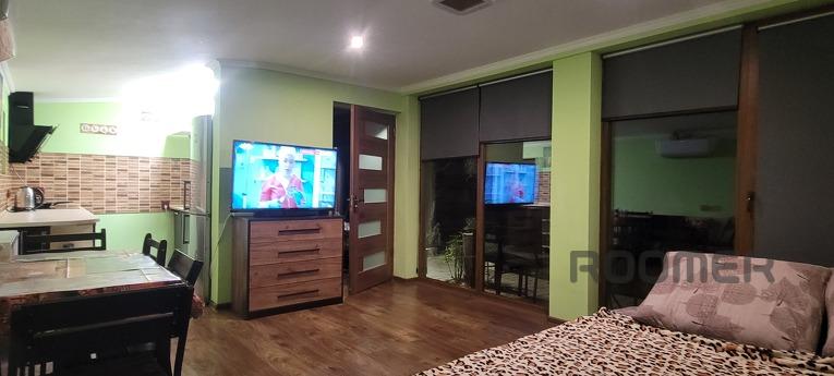 Cozy house in the city center near Sbass, Berehovo - apartment by the day