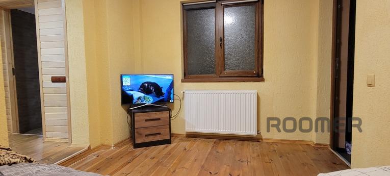 Cozy house in the city center near Sbass, Berehovo - apartment by the day