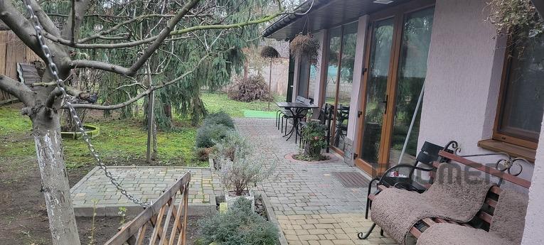Cozy house in the city center near Sbass, Berehovo - apartment by the day