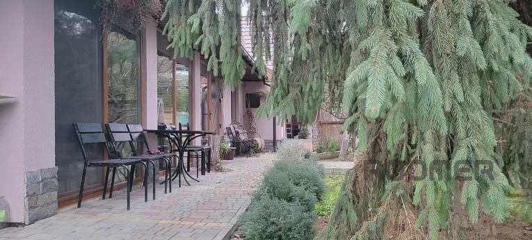 Cozy house in the city center near Sbass, Berehovo - apartment by the day