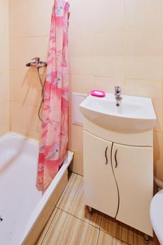 Apartment at the center, Lviv - apartment by the day