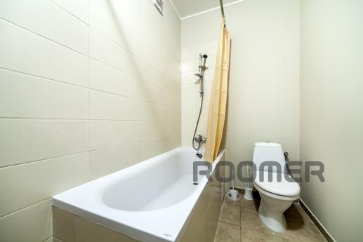 Belgian Two Bedroom Apartment, Lviv - apartment by the day