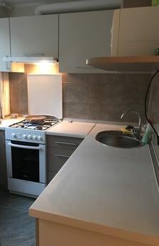 2 k apartment renovated, Kyiv - apartment by the day