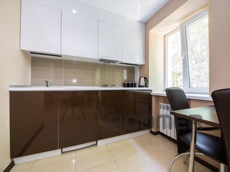 New renovated studio in the center, Kharkiv - apartment by the day