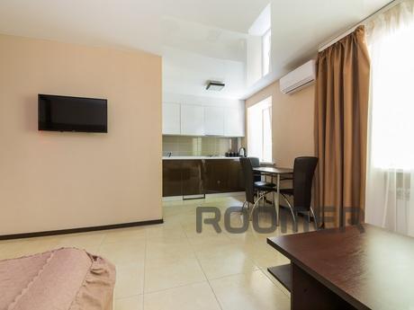 New renovated studio in the center, Kharkiv - apartment by the day