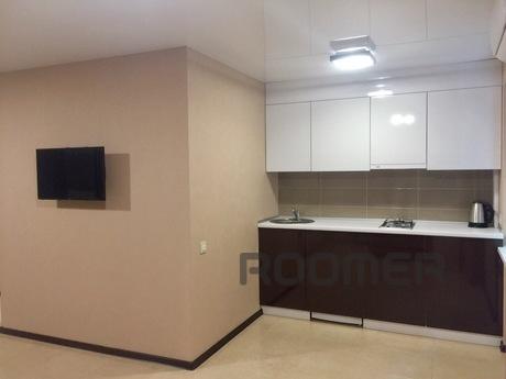 New renovated studio in the center, Kharkiv - apartment by the day