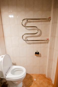 1 bedroom apartment, Novosibirsk - apartment by the day
