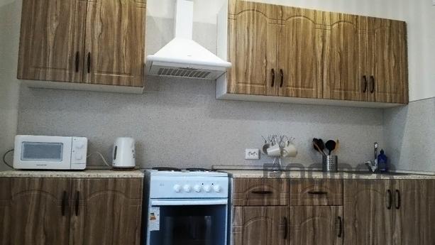 1 bedroom apartment for rent, Samara - apartment by the day