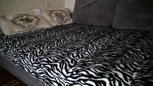 Apartment in the city center, Rostov-on-Don - apartment by the day