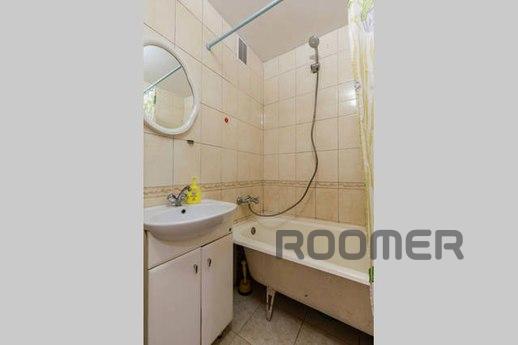 Large apartment for company, Saint Petersburg - apartment by the day