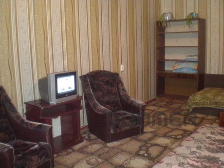 Cozy 1 bedroom apartment in the center., Enerhodar - apartment by the day