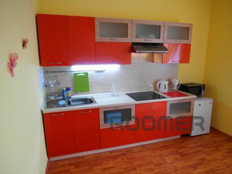 Large one bedroom apartment, Yekaterinburg - apartment by the day