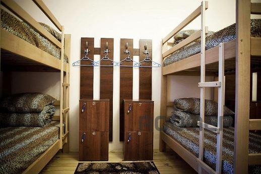 Hostel in the heart of the city, Lviv - apartment by the day