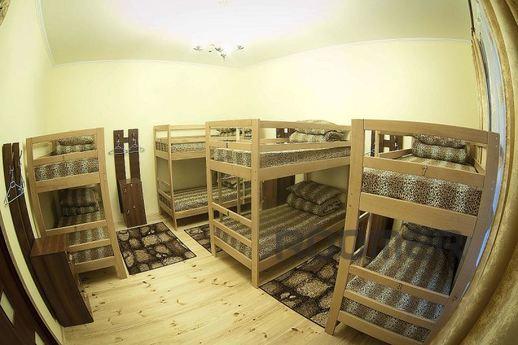 Hostel in the heart of the city, Lviv - apartment by the day