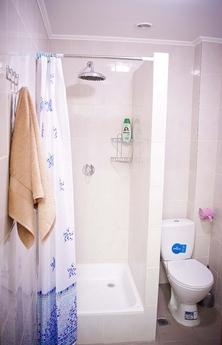 Hostel in the heart of the city, Lviv - apartment by the day