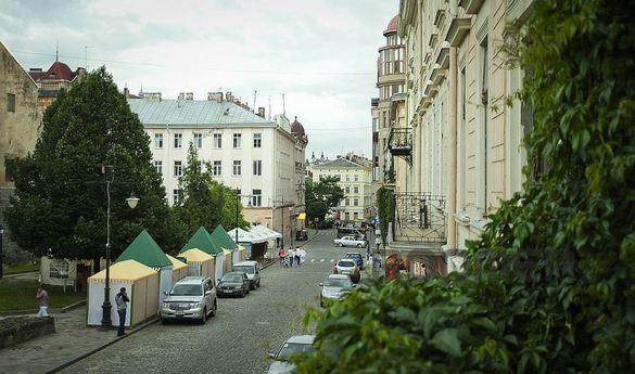 Hostel in the heart of the city, Lviv - apartment by the day
