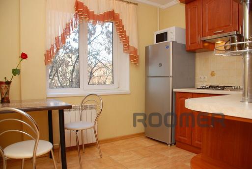 Business-class apartment in the city cen, Kyiv - apartment by the day