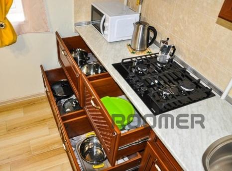 Center Nova 1-room apartment cafe 'Moloko', Mukacheve - apartment by the day