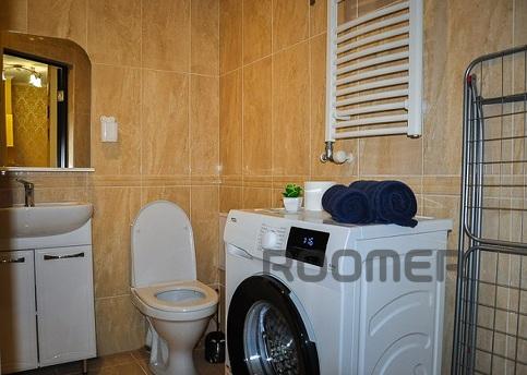 Center Nova 1-room apartment cafe 'Moloko', Mukacheve - apartment by the day