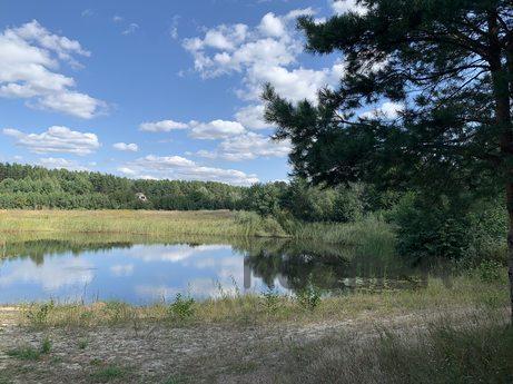 Wonderful vacation by the lake in a pine, Voropayevo - apartment by the day