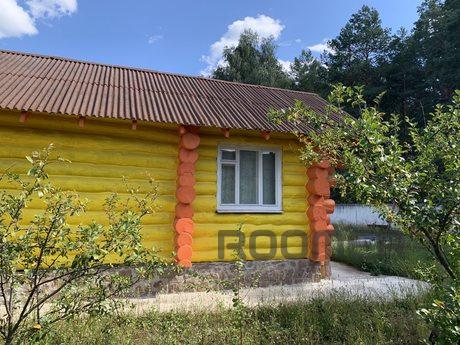 Wonderful vacation by the lake in a pine, Voropayevo - apartment by the day