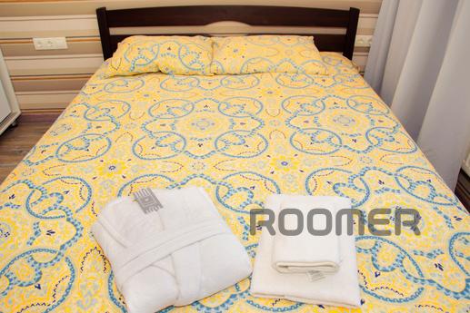 Luxury apartment in the city of Kharkov, Kharkiv - apartment by the day
