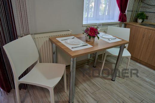COMFORT IN THE CITY CENTER, Ivano-Frankivsk - apartment by the day