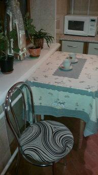 2-room cozy vip purer the center, Zhytomyr - apartment by the day