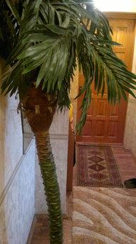 1-2-room Bohun, Zhytomyr - apartment by the day