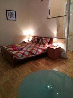 1 bedroom apartment for rent, Kyiv - apartment by the day