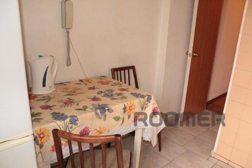 Apartment  in the center, Wi-Fi, Kyiv - apartment by the day