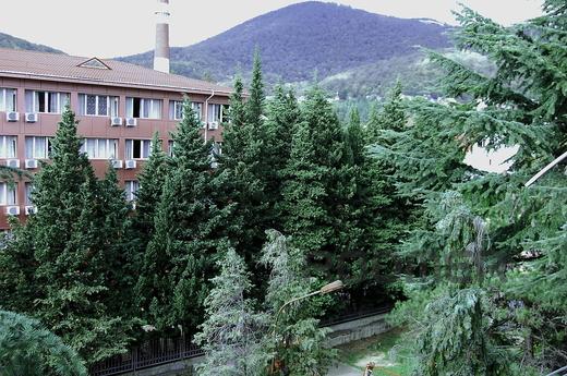 One bedroom apartment in Lazarite, Sochi - apartment by the day