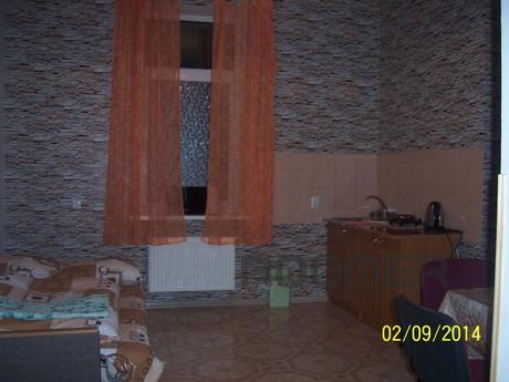 Great apartment in the center., Vinnytsia - apartment by the day