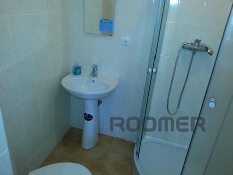 Great apartment in the center., Vinnytsia - apartment by the day