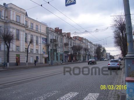 Great apartment in the center., Vinnytsia - apartment by the day