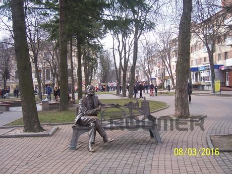 Great apartment in the center., Vinnytsia - apartment by the day