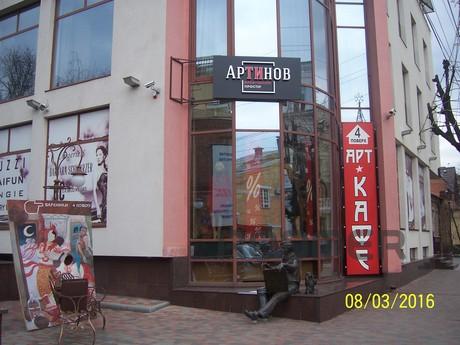 Great apartment in the center., Vinnytsia - apartment by the day