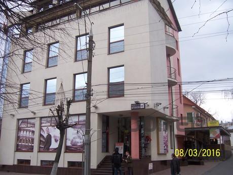 Great apartment in the center., Vinnytsia - apartment by the day