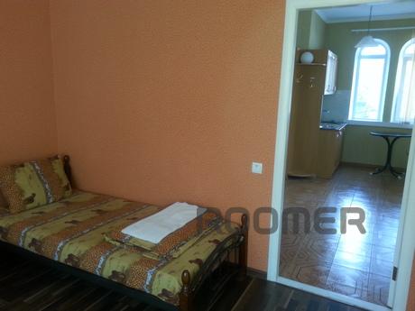 Great apartment in the center., Vinnytsia - apartment by the day