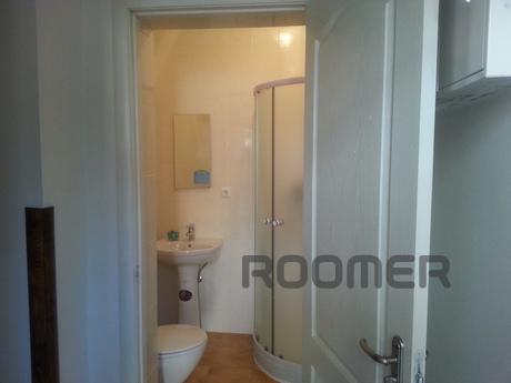 Great apartment in the center., Vinnytsia - apartment by the day