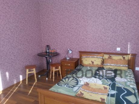 Great apartment in the center., Vinnytsia - apartment by the day