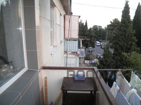 Superskaya studio by the sea, Alushta - apartment by the day