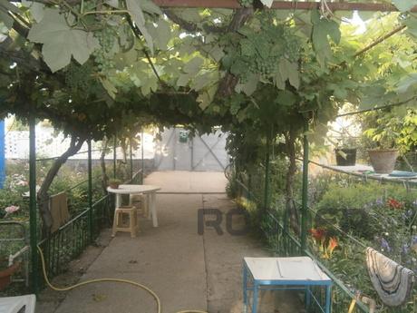 Rent one room in the sector chyasnom, Feodosia - apartment by the day