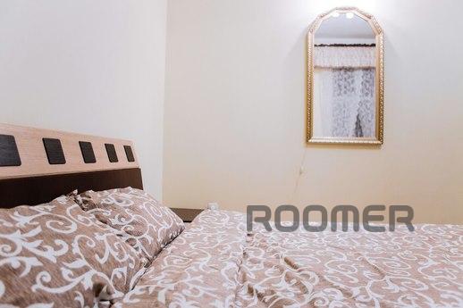 Comfortable apartment near the Opera, Lviv - apartment by the day