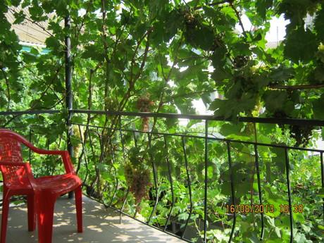 Rent holiday, Yevpatoriya - apartment by the day