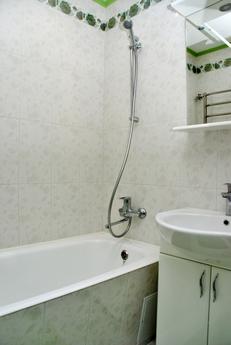 1-room apartment near the metro station, Kyiv - apartment by the day