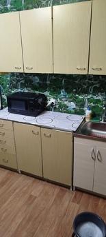 Newly renovated apartment in Podobovo, Kaniv - apartment by the day