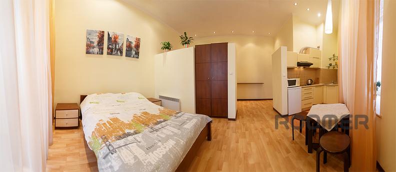 Clean, comfortable one-bedroom apartment - studio. Renovatio