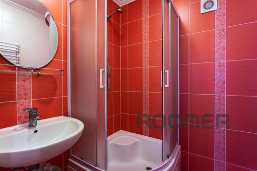 Large 5-room apartment in the center, Lviv - apartment by the day