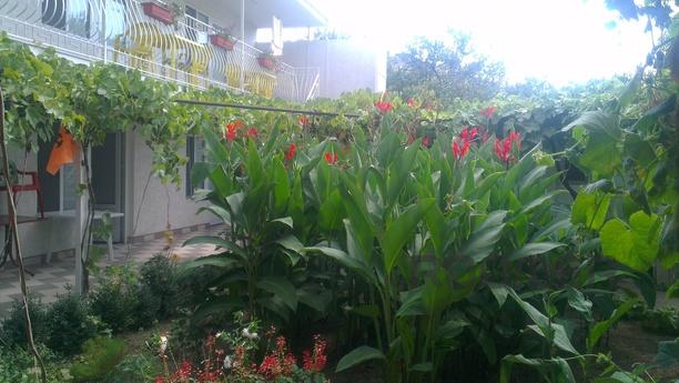 Rooms for rent, Feodosia - apartment by the day